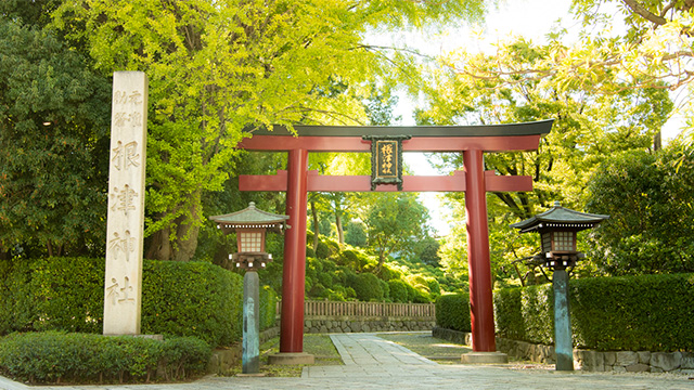 散歩の締めくくりは「根津神社」で決まり！