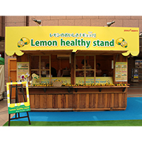 Lemon healthy stand