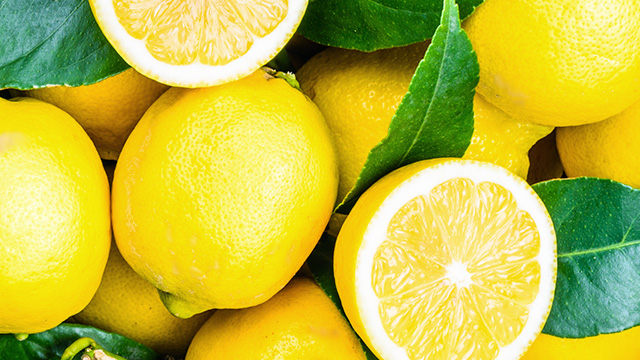 【雑学レモン】おいしいレモンの見分け方
