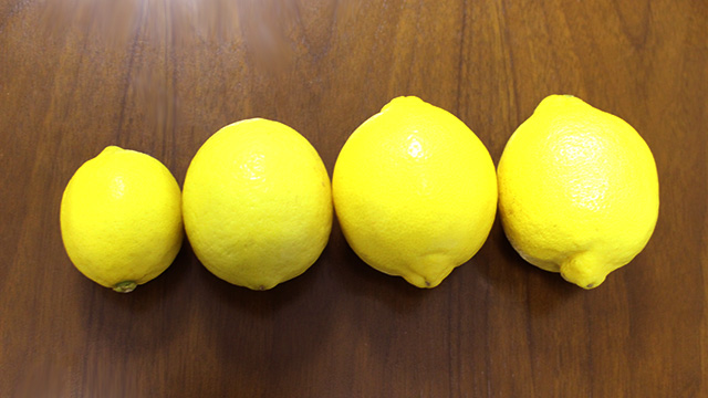 サイズの違うレモン