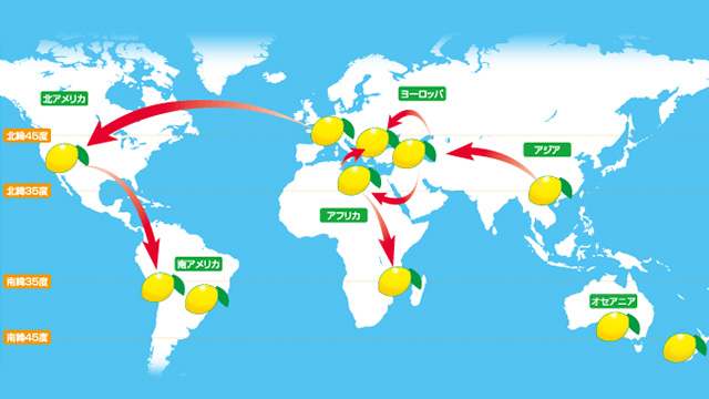 アジアから世界に広がったレモン