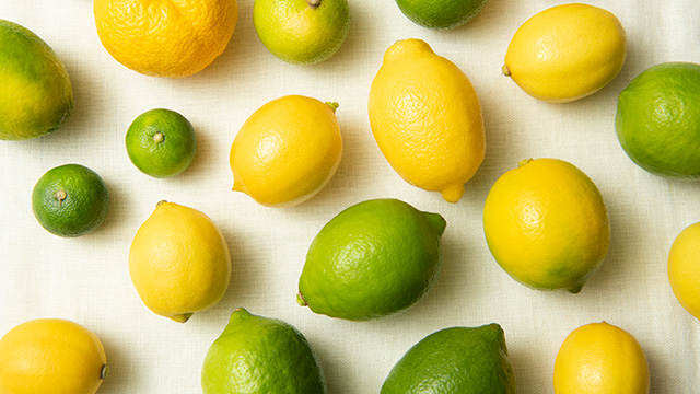 【雑学レモン】日本で栽培されているレモンの種類って？ ライムとの違いは？