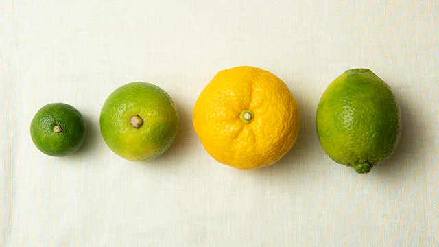 スダチ、カボス、ユズ、ライムは、レモンよりも果実がひと回り小さいことも特徴です。